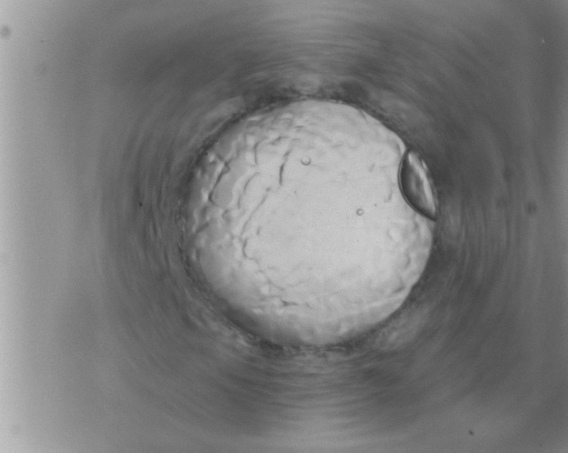 X0000071381105200607142103