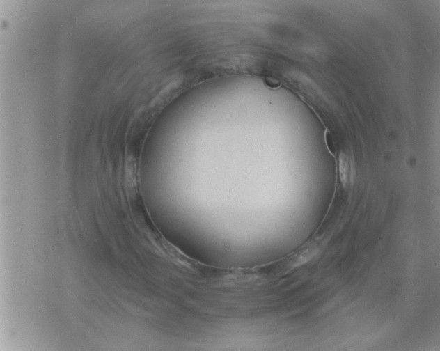 X0000071381107200607142103