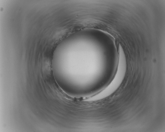 X0000071381108200607142103