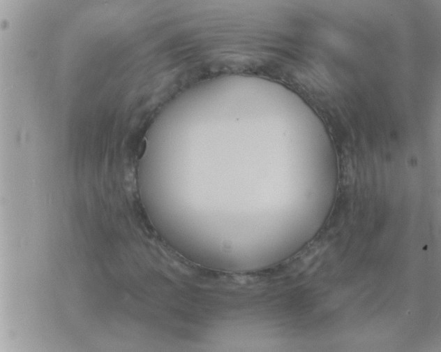 X0000071381109200607142103