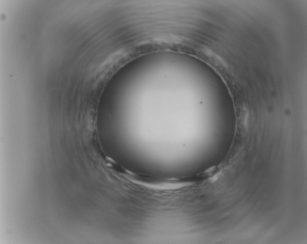 X0000071381110200607142103