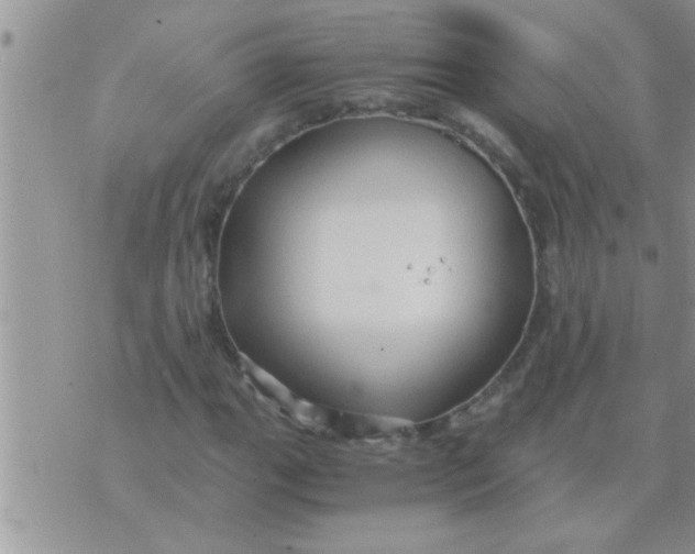 X0000071381111200607142103