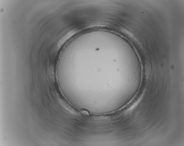 X0000071381113200607142103