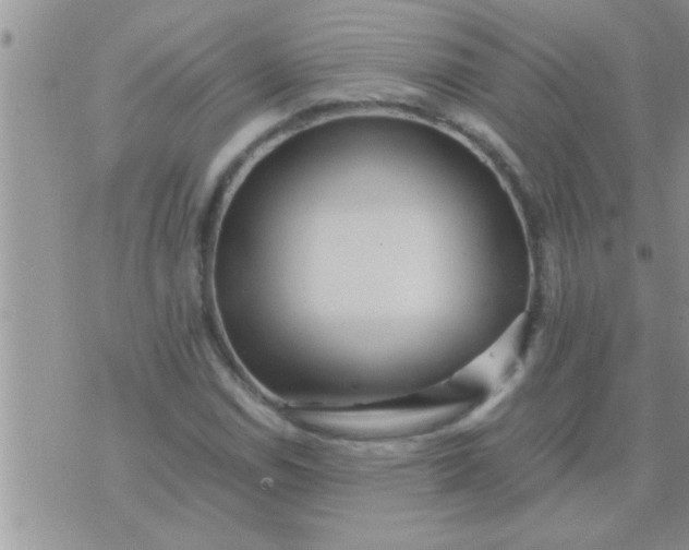 X0000071381114200607142103