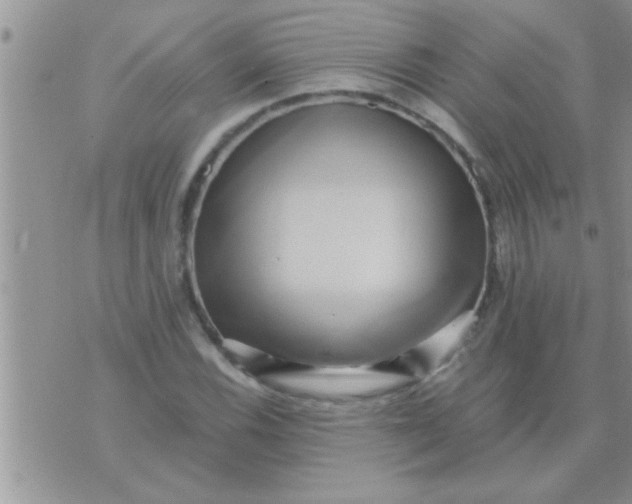 X0000071381116200607142103