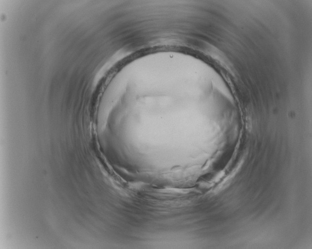 X0000071381117200607142103