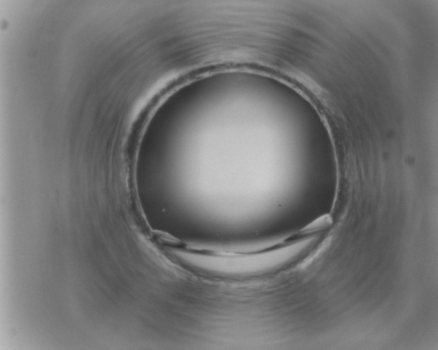 X0000071381118200607142103