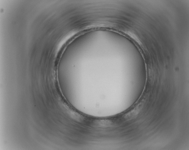 X0000071381119200607142103