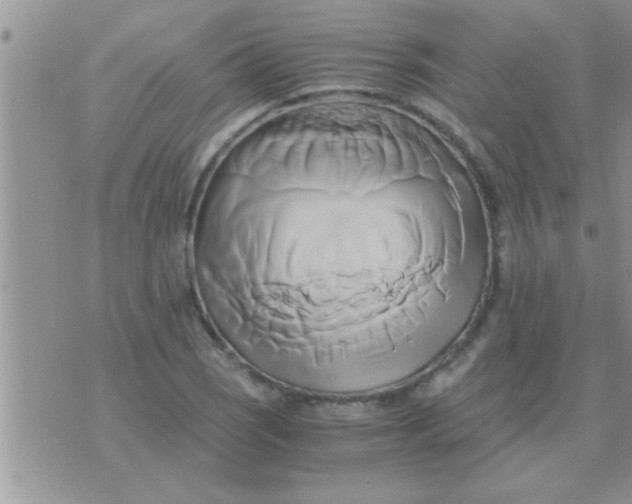 X0000071381121200607142103