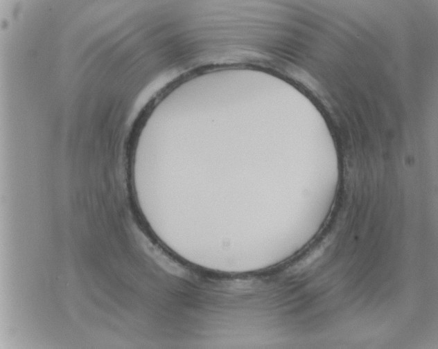 X0000071381122200607142104