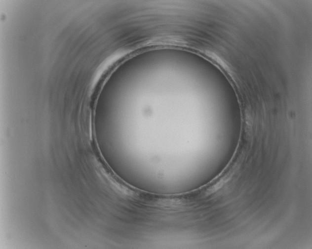 X0000071381123200607142104