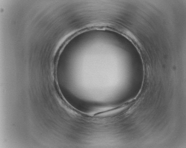 X0000071381124200607142104