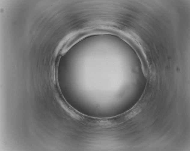 X0000071381128200607142104