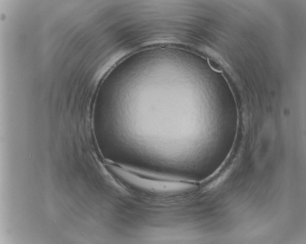 X0000071381129200607142104