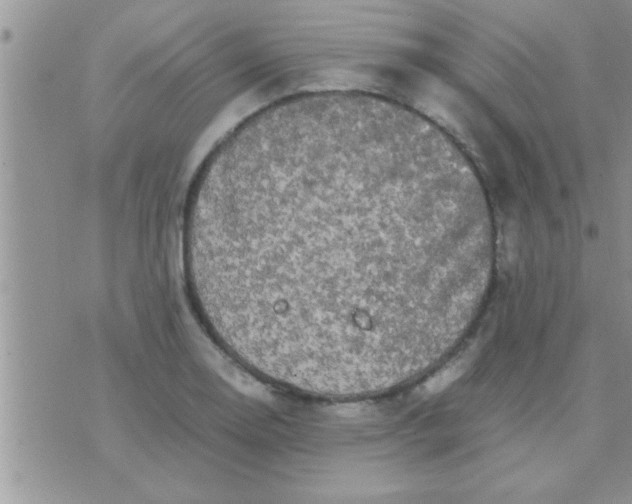 X0000071381130200607142104