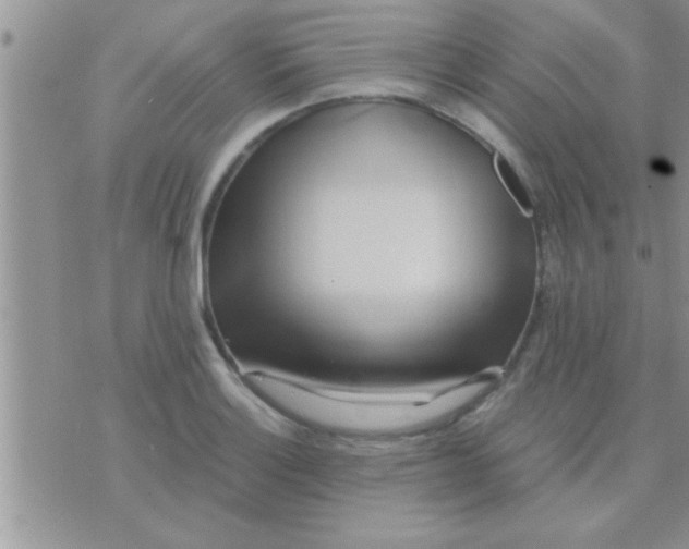 X0000071381132200607142104