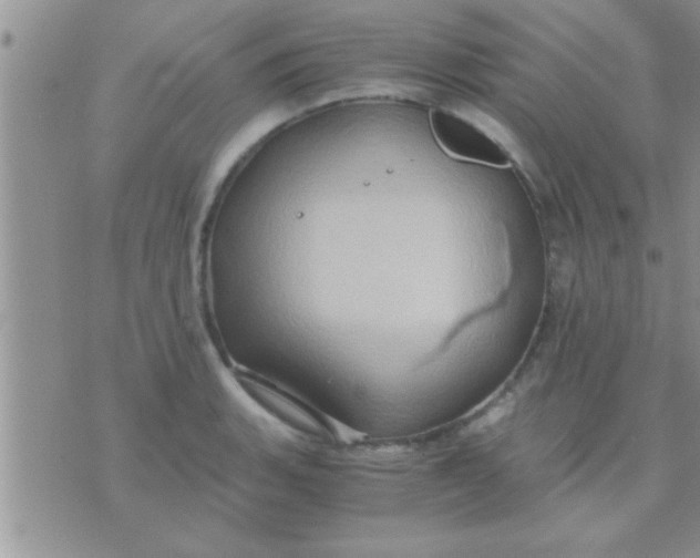 X0000071381135200607142104