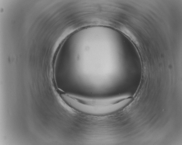 X0000071381136200607142104