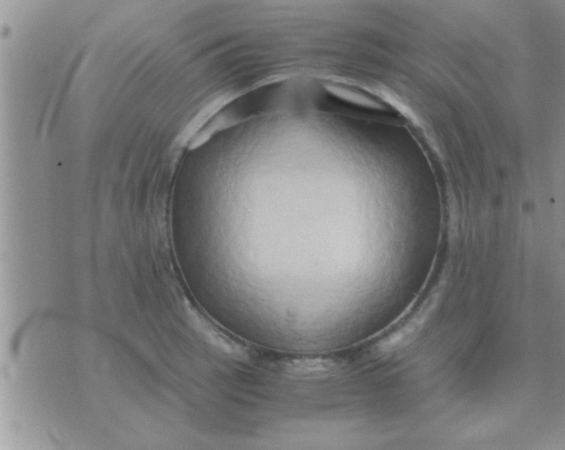 X0000071381137200607142104