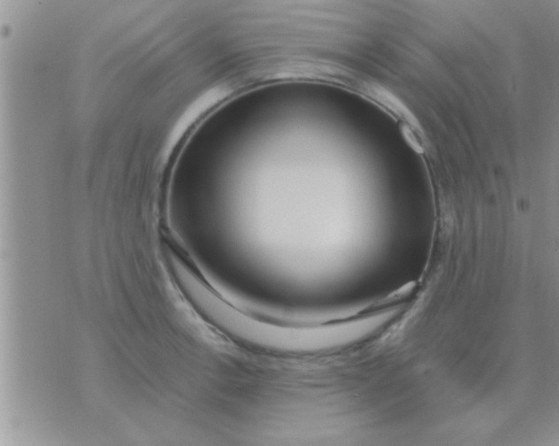 X0000071381138200607142104