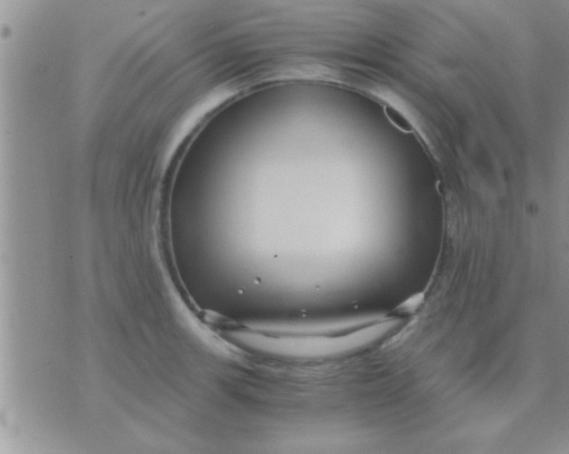 X0000071381139200607142104