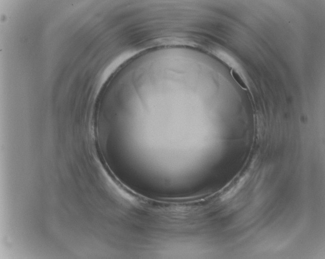 X0000071381141200607142104