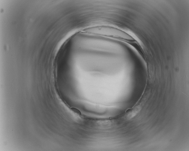 X0000071381142200607142104