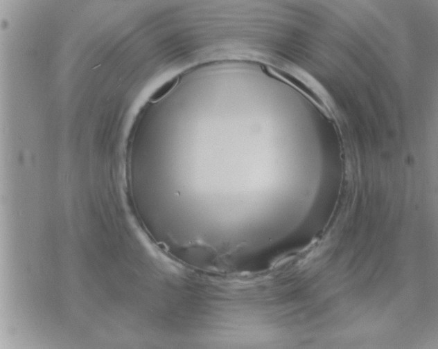 X0000071381144200607142104