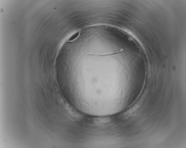 X0000071381145200607142104