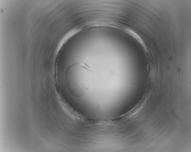 X0000071381146200607142104