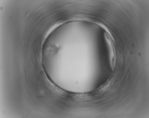 X0000071381147200607142104