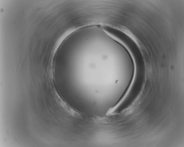 X0000071381148200607142104