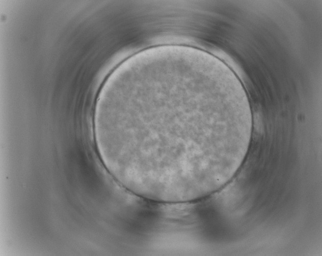 X0000071381150200607142104