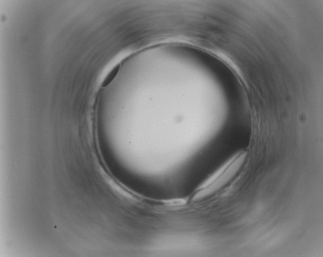 X0000071381151200607142104