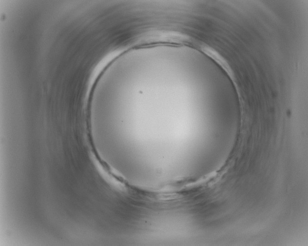 X0000071381152200607142104