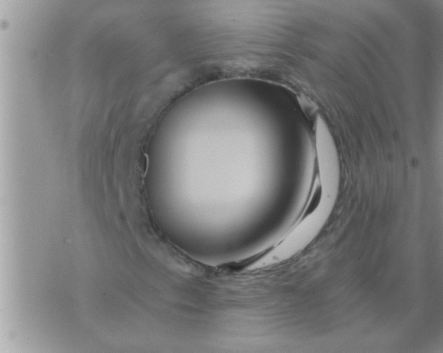 X0000071381153200607142103