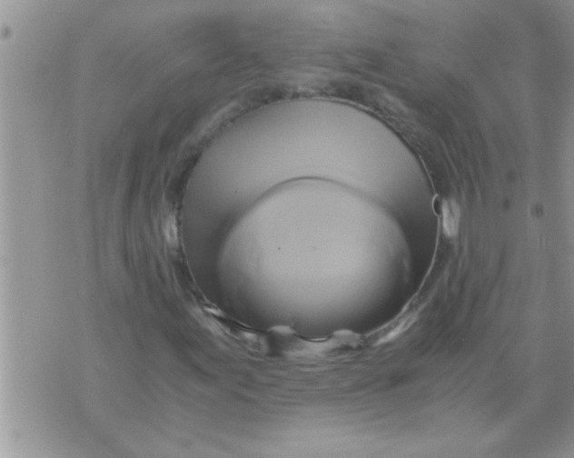 X0000071381155200607142103