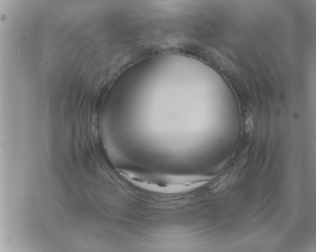 X0000071381156200607142103