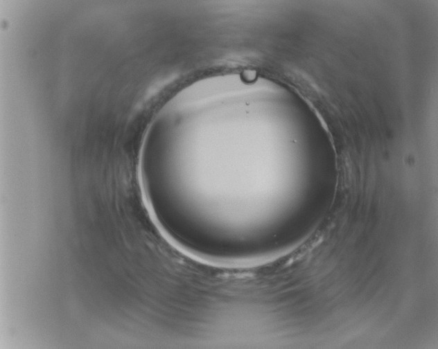 X0000071381158200607142103