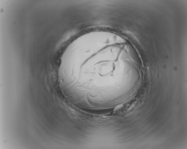 X0000071381159200607142103