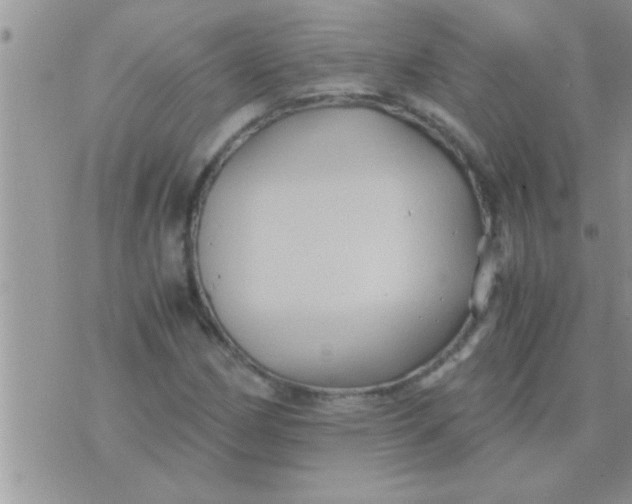 X0000071381162200607142103