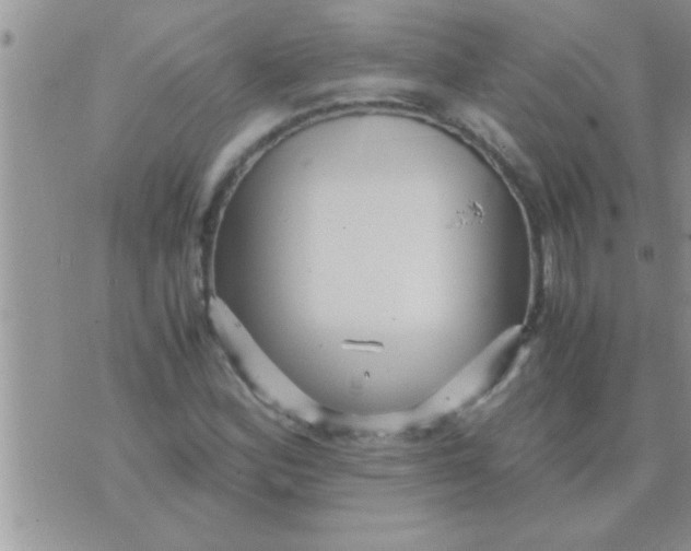 X0000071381164200607142103