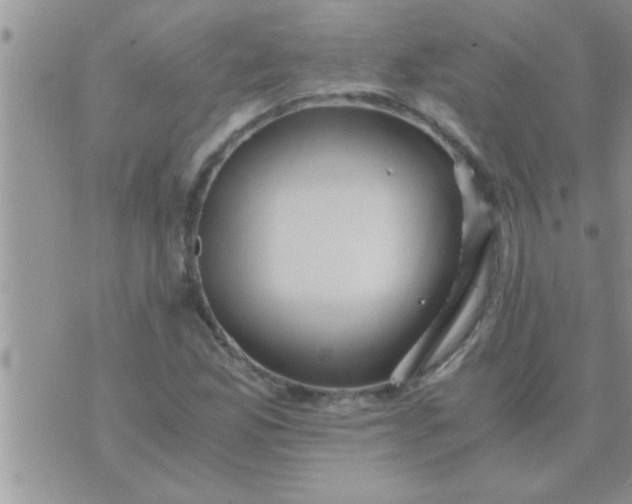 X0000071381165200607142103