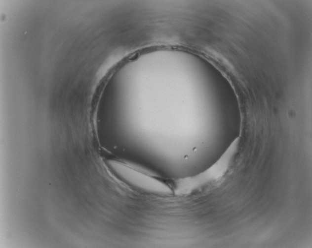 X0000071381168200607142103