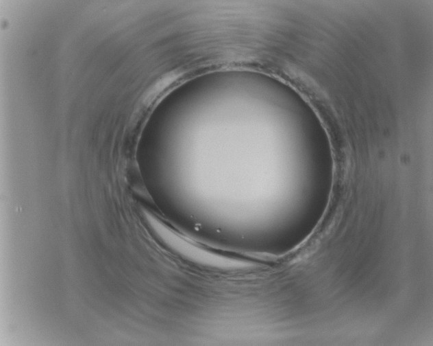 X0000071381169200607142103