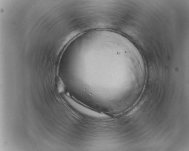 X0000071381170200607142103