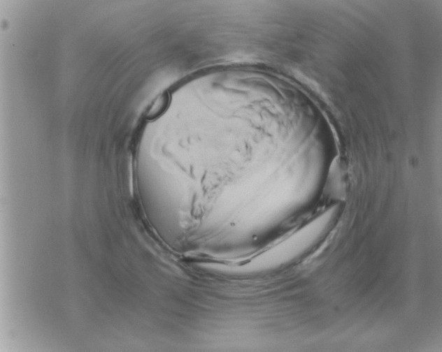 X0000071381171200607142103