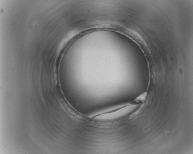 X0000071381172200607142103