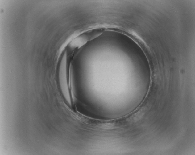 X0000071381173200607142103