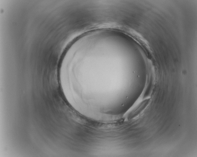 X0000071381174200607142103